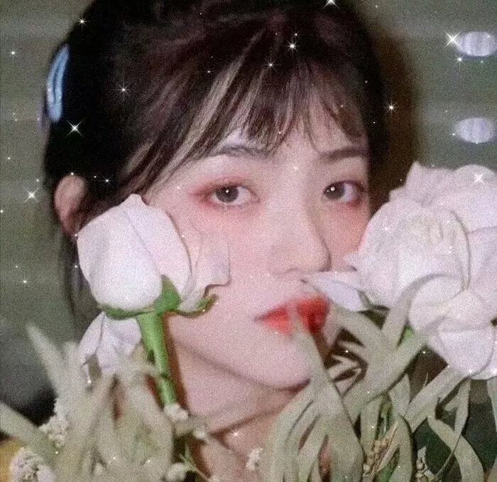 红莓花儿开